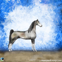 Horse Color:Blue Onyx Sabino Rabicano 