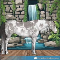 Horse Color:Platinum White Spotted Liver Red Dun Sabino Brindle 