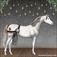 Horse Color:Brown Roan Dun Splash Appaloosa Rabicano 