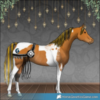 Horse Color:Painted Bay Tobiano Rabicano 