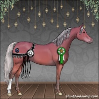 Horse Color:Silver Bay 