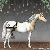 Horse Color:Silver Buckskin Dun Tobiano Rabicano 