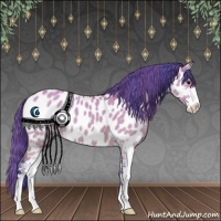 Horse Color:Watercolor Bay Dun Sabino Appaloosa 