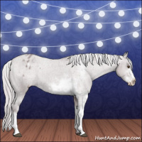 Horse Color:Chocolate Grullo Chinchilla Sabino Appaloosa