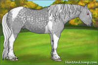 Horse Color:Silver Grullo Chinchilla Tobiano