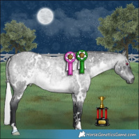 Horse Color:Platinum White Spotted Silver Brown Chinchilla Roan 