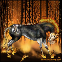 Horse Color:Midnight Black Splash Appaloosa Rabicano 