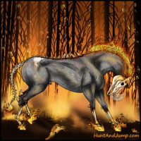 Horse Color:Midnight Red Dun Onyx Sabino Appaloosa Rabicano