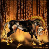 Horse Color:Void Bay Onyx Tobiano 