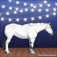 Horse Color:Bay Chinchilla Dun Tobiano 