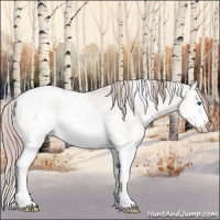 Horse Color:Platinum White Spotted Gold Champagne Roan Dun Splash Frame 