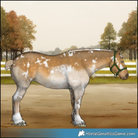 Horse Color:White Spotted Chocolate Palomino Dun Mushroom 