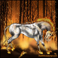 Horse Color:White Spotted Chocolate Silver Brown Dun Splash Appaloosa