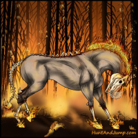 Horse Color:Silver Brown Dun 