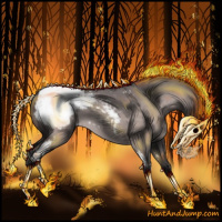 Horse Color:Platinum White Spotted Bay Dun Appaloosa Rabicano 