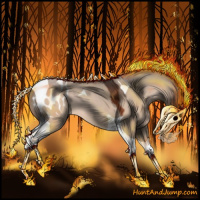 Horse Color:Bay Dun Tobiano Appaloosa 