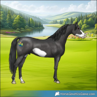 Horse Color:Black Frame 
