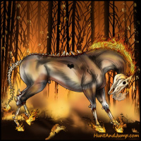 Horse Color:Void Bay Onyx 