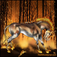 Horse Color:Bay Onyx Splash 