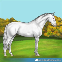 Horse Color:White Spotted Silver Grullo Chinchilla Varnish 