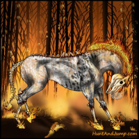 Horse Color:Void Bay Pearl Sabino Tobiano Rabicano  and Black Sabino Appaloosa Rabicano 