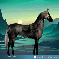 Horse Color:Void Painted Palomino Roan Pearl Splash Tobiano 