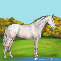 Horse Color:Nacre Palomino Ice Pearl 