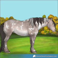 Horse Color:Platinum White Spotted Sable Champagne 