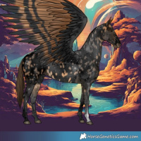 Horse Color:Void Buckskin Appaloosa 