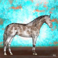 Horse Color:White Spotted Liver Red Dun Mushroom Sabino Brindle 