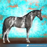 Horse Color:White Spotted Grullo Rabicano Brindle 