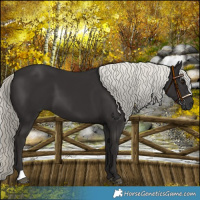 Horse Color:Liver Chestnut Mushroom 