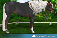 Horse Color:Liver Chestnut Mushroom 