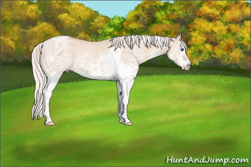 Horse Color:White Spotted Silver Classic Champagne Dun Splash Tobiano 