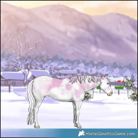 Horse Color:Watercolor Silver Sable Champagne Dun Splash Tobiano 