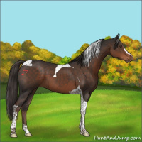 Horse Color:Liver Chestnut Tobiano 
