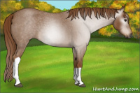 Horse Color:Gray Red Roan 