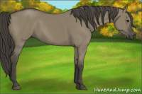 Horse Color:Smoky Grullo 