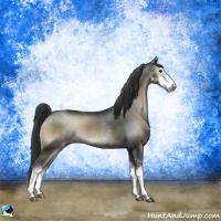 Horse Color:Blue Onyx Sabino 