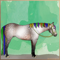 Horse Color:Gray Painted Bay 