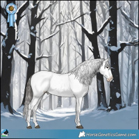 Horse Color:White Spotted Brown Sabino Appaloosa Rabicano