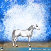 Horse Color:Black Sabino Snowflake VarnishRabicano