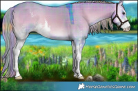 Horse Color:Watercolor Plaid Liver Red Dun Onyx Sabino