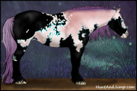 Horse Color:Watercolor Sable Champagne Onyx Splash Appaloosa 