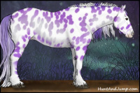 Horse Color:Watercolor Bay Onyx Appaloosa 