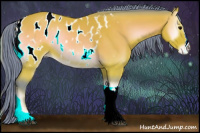 Horse Color:Watercolor Bay Onyx Appaloosa