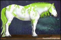 Horse Color:Watercolor Liver Red Onyx Splash Appaloosa 