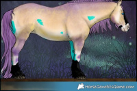 Horse Color:Watercolor Bay Onyx Splash Appaloosa 