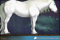 Horse Color:Gray Watercolor Bay Onyx Splash Appaloosa 