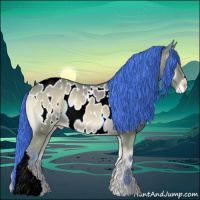 Horse Color:Watercolor Bay Onyx Appaloosa 